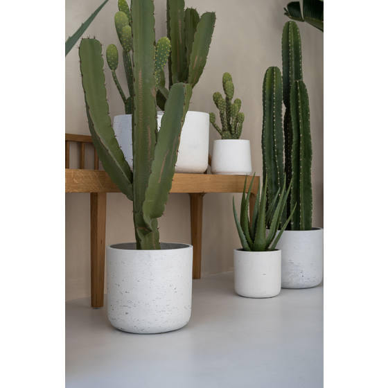 charlie plant pot Charlie Pot