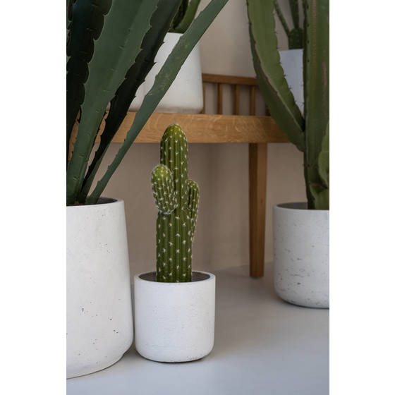 charlie plant pot Charlie Pot – Interior Foliage Design