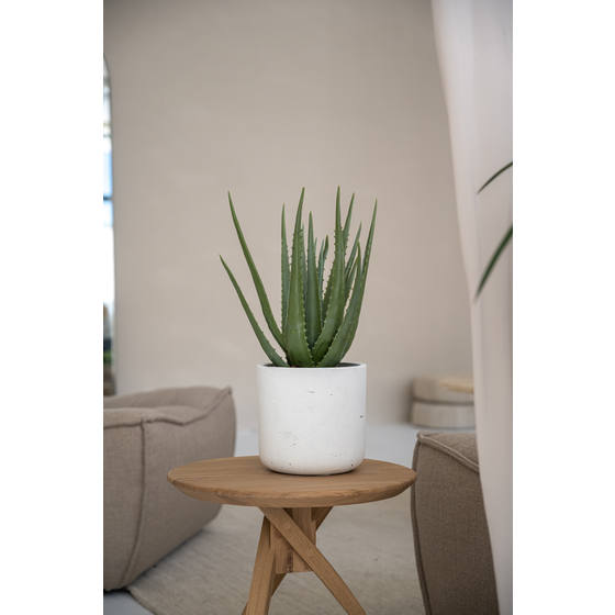 charlie plant pot Charlie Pot – Interior Foliage Design